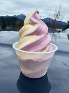 NEW FLAVOR! Mountain BlackBerry!!💜