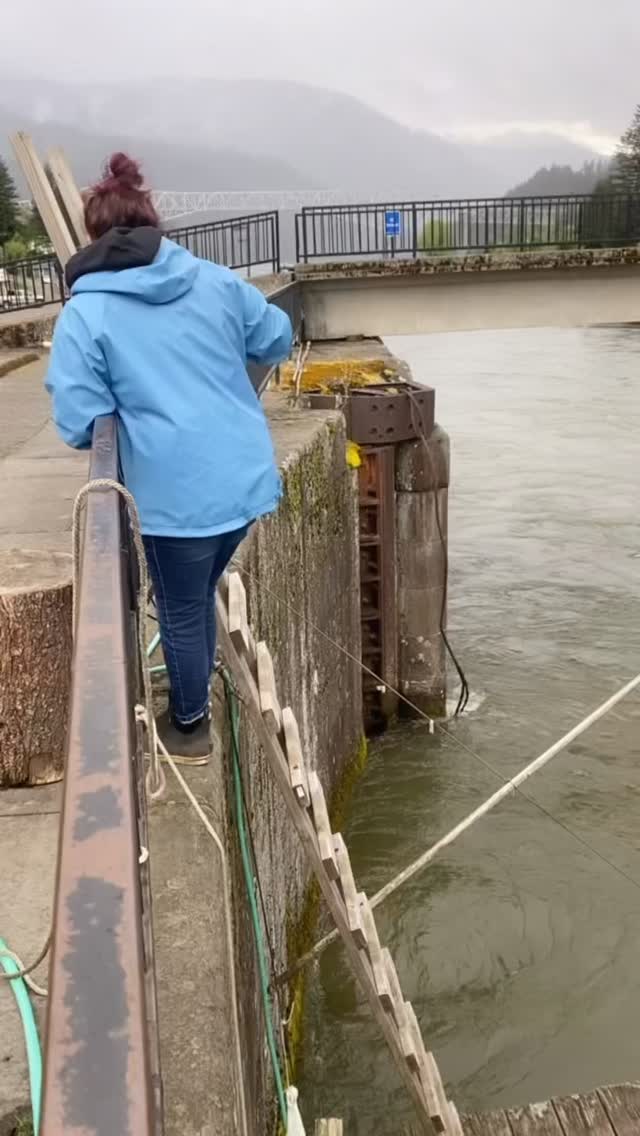 Counting down the days to commercial season!!🐟💙

We’re getting excited!! Here’s a video from a few years ago of checking the hoop nets!