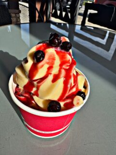 Frozen Yogurt with Huckleberry Topping!!
